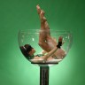 Девушка в бокале1337