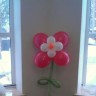 Цветы из шаров600
