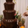 Шоколадный фонтан 1277